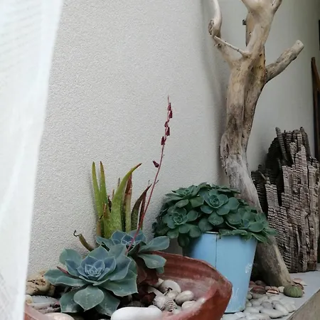 아파트 House By The Sea/σπίτι στην θάλασσα *